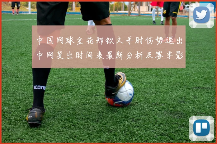 中国网球金花郑钦文手肘伤势退出中网复出时间表最新分析及赛季影响