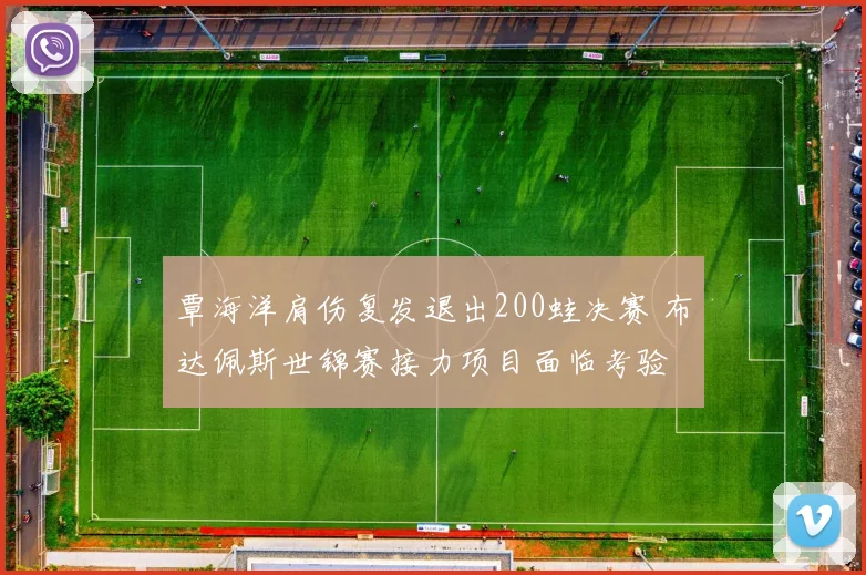 覃海洋肩伤复发退出200蛙决赛 布达佩斯世锦赛接力项目面临考验