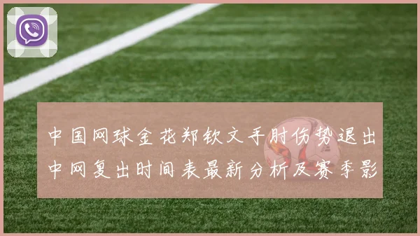 中国网球金花郑钦文手肘伤势退出中网复出时间表最新分析及赛季影响