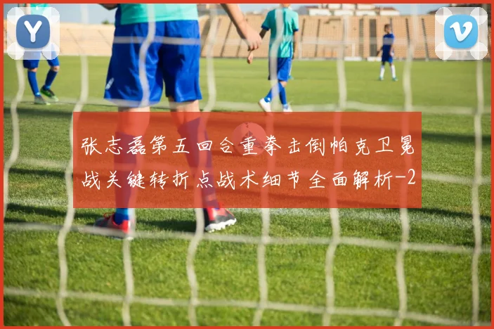 张志磊第五回合重拳击倒帕克卫冕战关键转折点战术细节全面解析